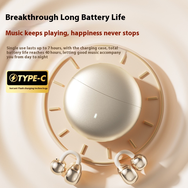 Premium Earphones Upgraded Dua - Office Tech Upgrades 评论和价格